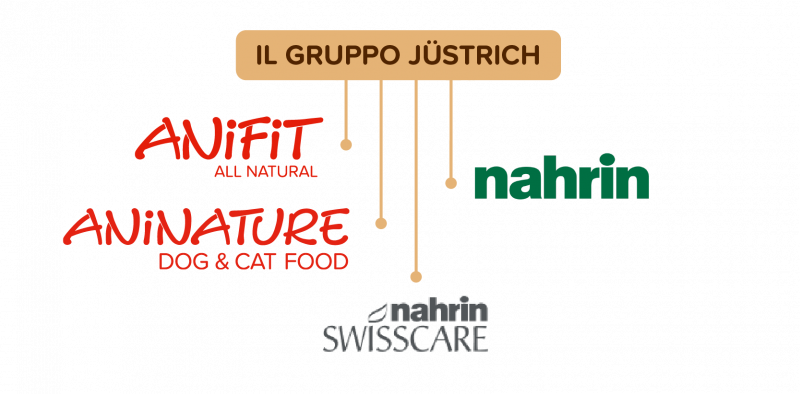 Il Gruppo Jüstrich